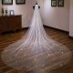 star wedding veil