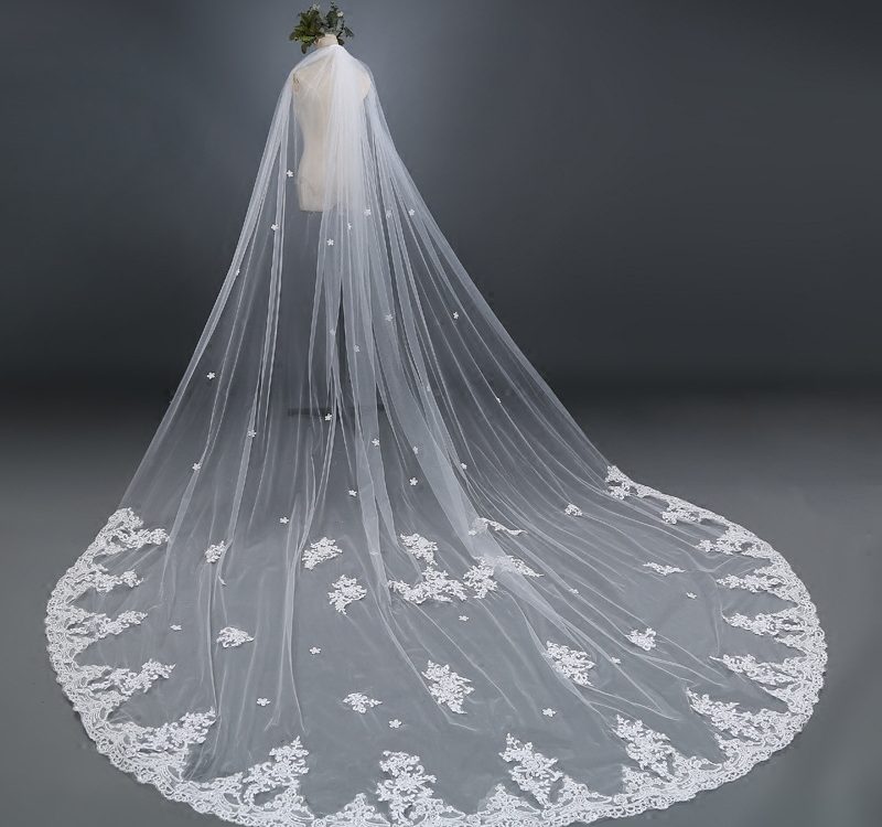 beautiful veil