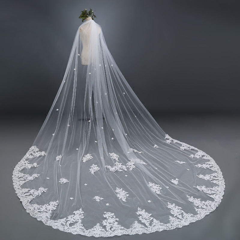 beautiful veil